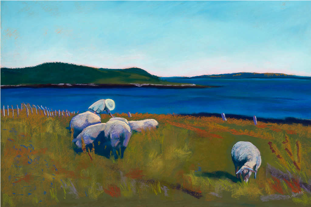 Beautiful pastel print greeting card featuring a coastal Maine scene with multiple sheep and a Shepard | Salt Air Supply  