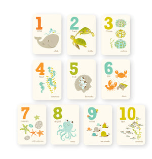Counting cards set